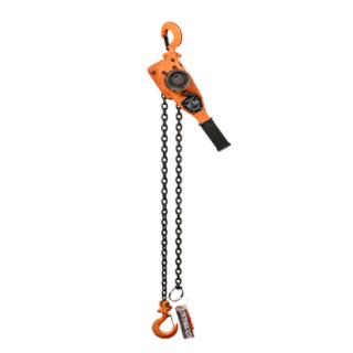 MAGNA Lifting Products 10-Foot Lever Hoist
