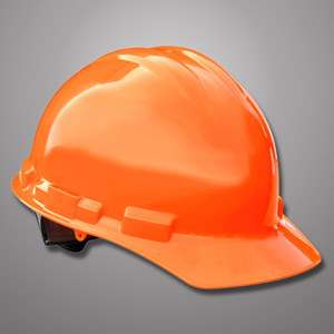 Head Protection from GME Supply