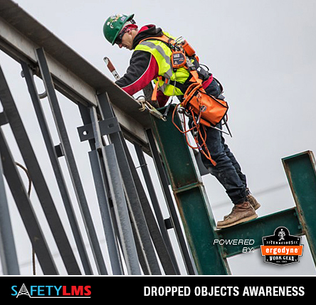 Safety LMS Dropped Objects Awareness Online Course (Powered by Ergodyne) from GME Supply